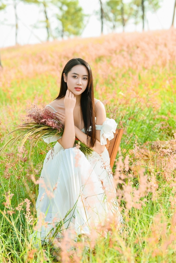 'Săn' mùa cỏ hồng chỉ cách Hà Nội 2 giờ