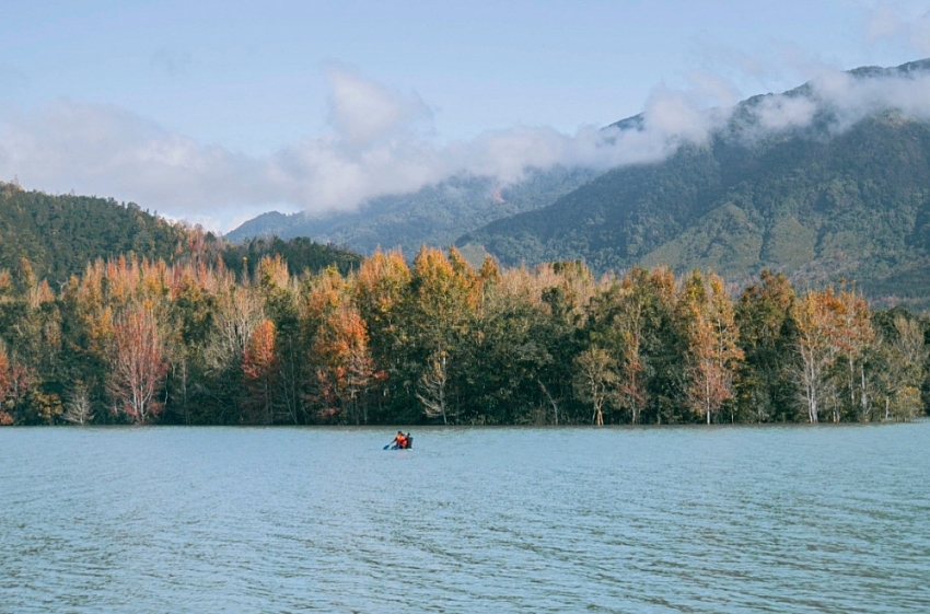 Đẹp ngỡ ngàng mùa lá đỏ ở rừng Khe Sanh Đẹp ngỡ ngàng mùa lá đỏ ở rừng Khe Sanh