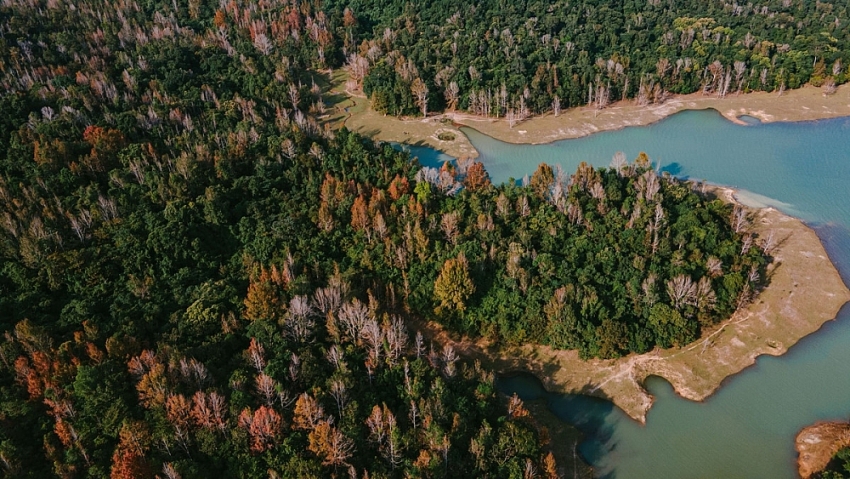 Đẹp ngỡ ngàng mùa lá đỏ ở rừng Khe Sanh Đẹp ngỡ ngàng mùa lá đỏ ở rừng Khe Sanh