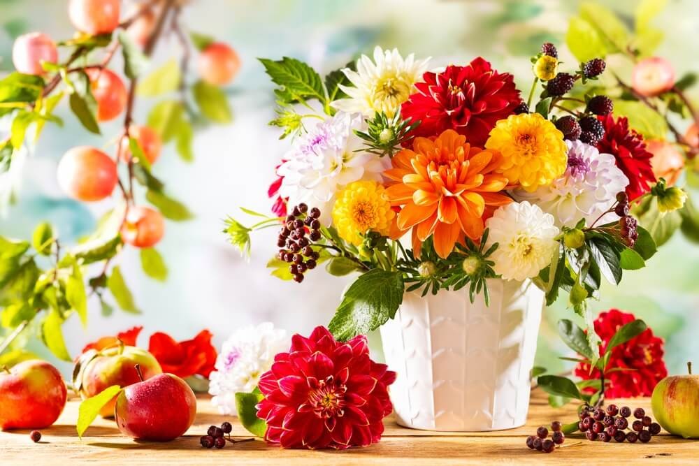 Tử vi tuần mới 12/10 - 18/10/2026: Tuổi Tỵ nắm bắt cơ hội, tuổi Dậu củng cố nền tảng