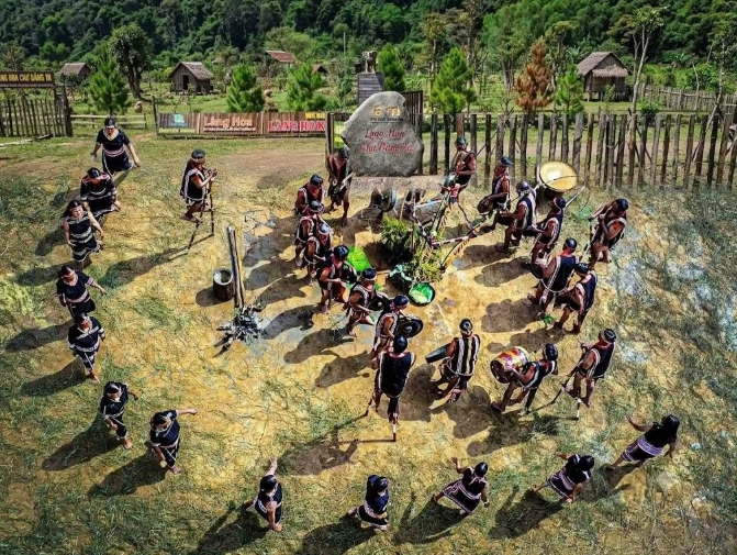 Say đắm sắc vàng hoa dã quỳ trên núi lửa Chư Đăng Ya