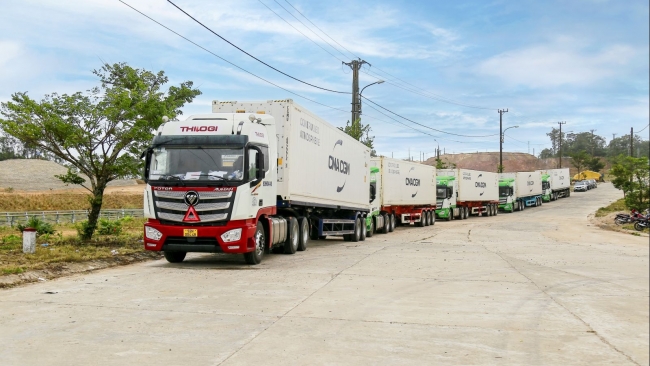 Logistics tăng sức cạnh tranh cho nông sản xuất khẩu