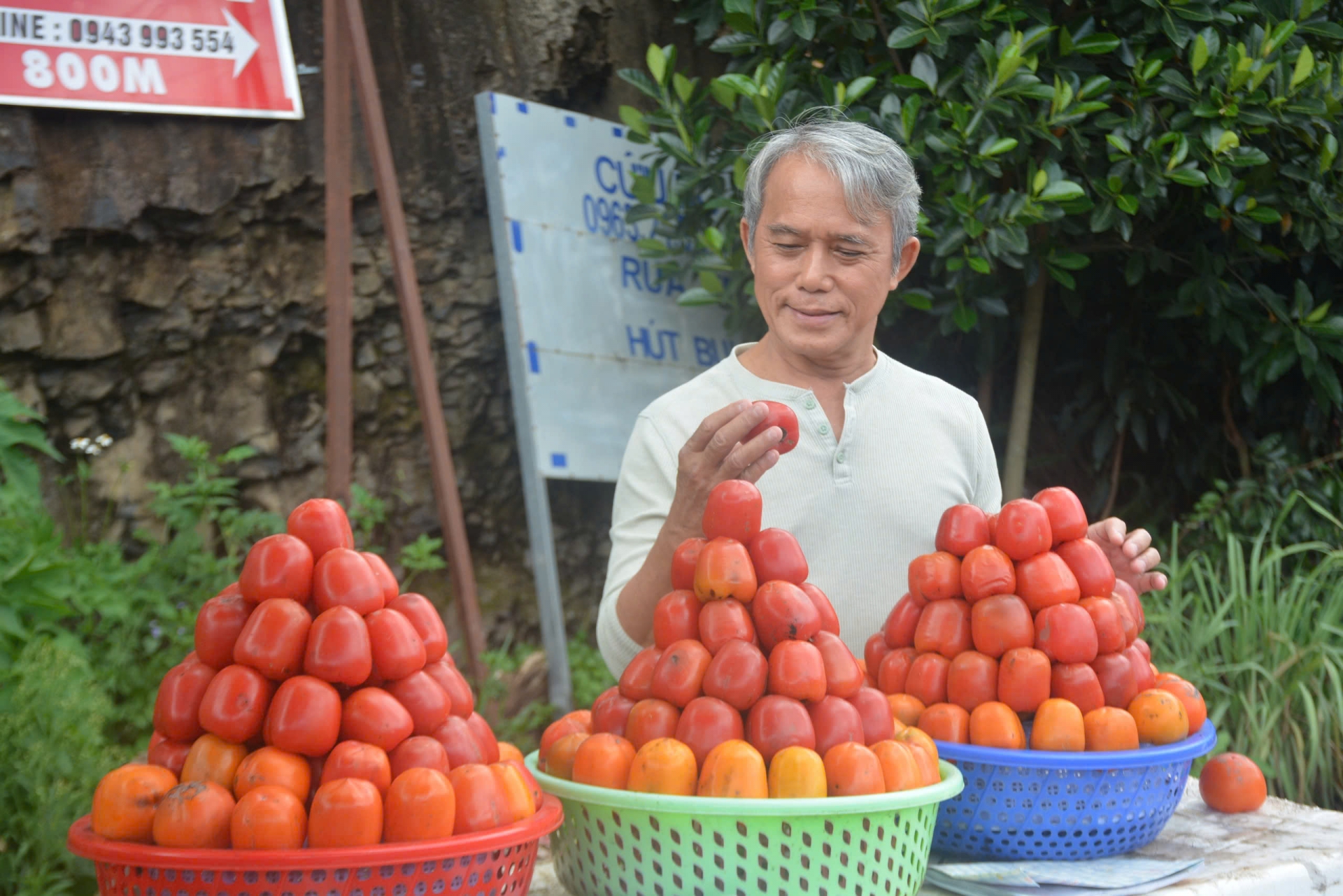 Ngọt ngào mùa hồng cao nguyên