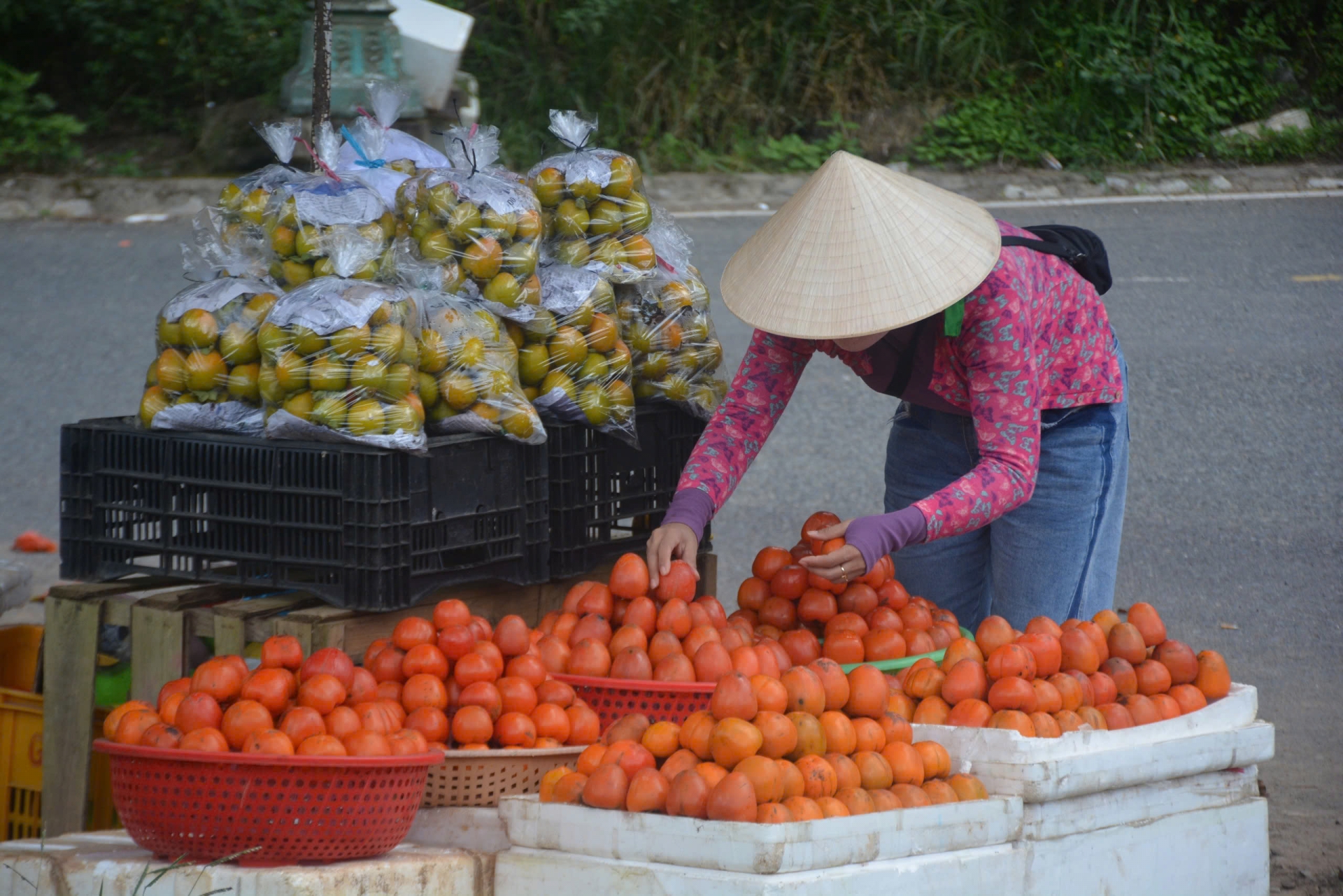 Ngọt ngào mùa hồng cao nguyên