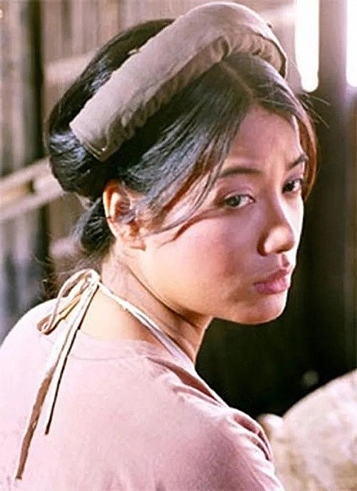 Trương Ngọc Ánh đóng phim thành công, kinh doanh thất bại Trương Ngọc Ánh đóng phim thành công, kinh doanh thất bại