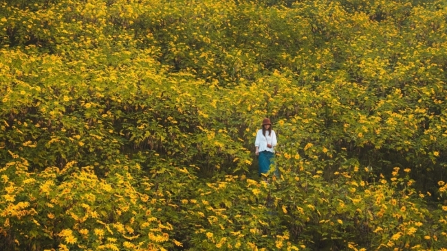 Tháng 11 đi đâu? Gợi ý những điểm hẹn đẹp nhất mùa đầu đông Việt Nam