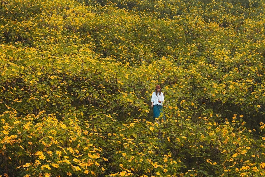 Tháng 11 đi đâu? Gợi ý những điểm hẹn đẹp nhất mùa đầu đông Việt Nam Tháng 11 đi đâu? Gợi ý những điểm hẹn đẹp nhất mùa đầu đông Việt Nam