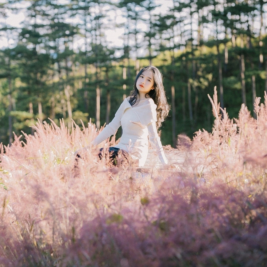 Tháng 11 đi đâu? Gợi ý những điểm hẹn đẹp nhất mùa đầu đông Việt Nam Tháng 11 đi đâu? Gợi ý những điểm hẹn đẹp nhất mùa đầu đông Việt Nam