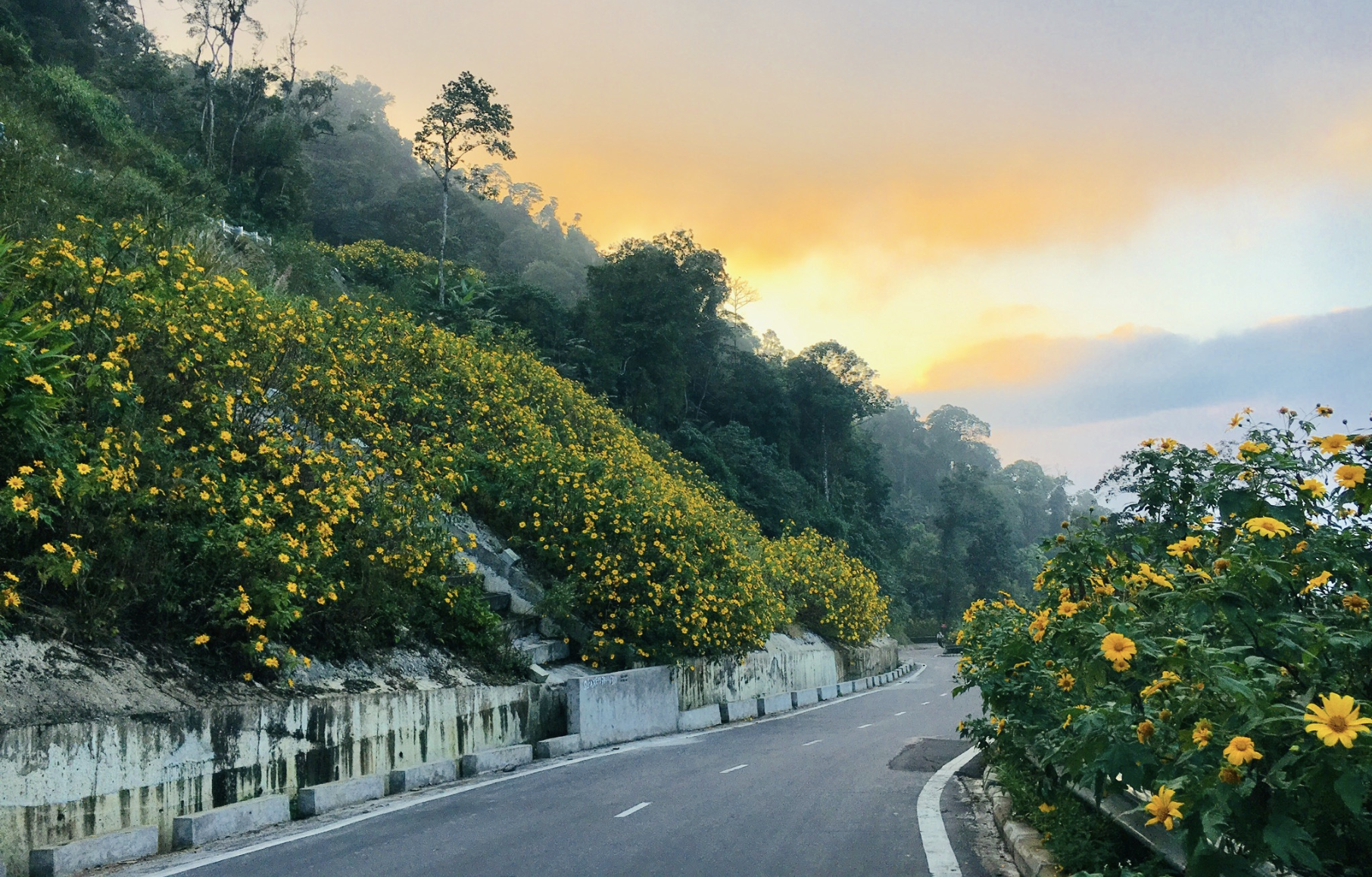 Tháng 11 rực rỡ: Việt Nam đẹp mê hồn từ núi rừng đến biển đảo Tháng 11 rực rỡ: Việt Nam đẹp mê hồn từ núi rừng đến biển đảo