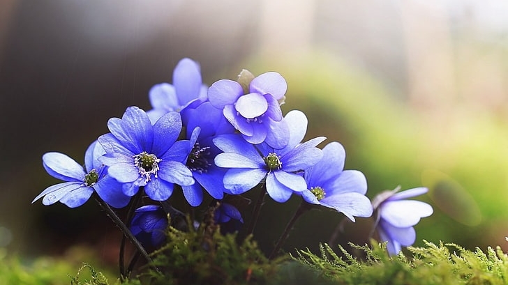 Tử vi tuần mới (3-9/11/2025): Tuổi Sửu cơ hội tiềm năng, tuổi Mão thuận buồm xuôi gió