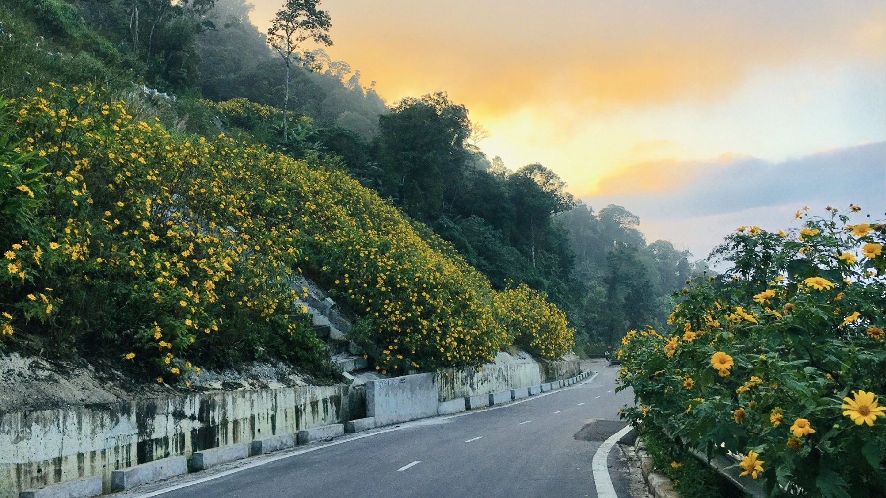 Tháng 11 rực rỡ: Việt Nam đẹp mê hồn từ núi rừng đến biển đảo
