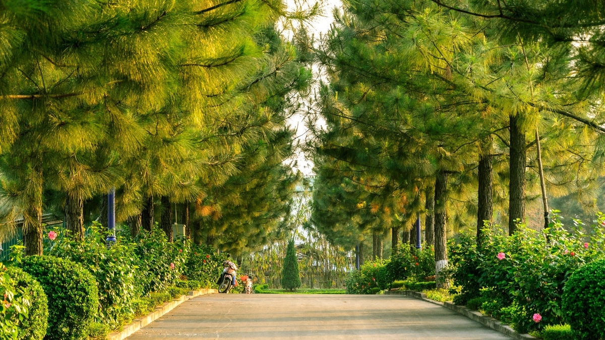 Du lịch Đan Phượng, ăn chơi gì giữa vùng đất cổ xứ Đoài?