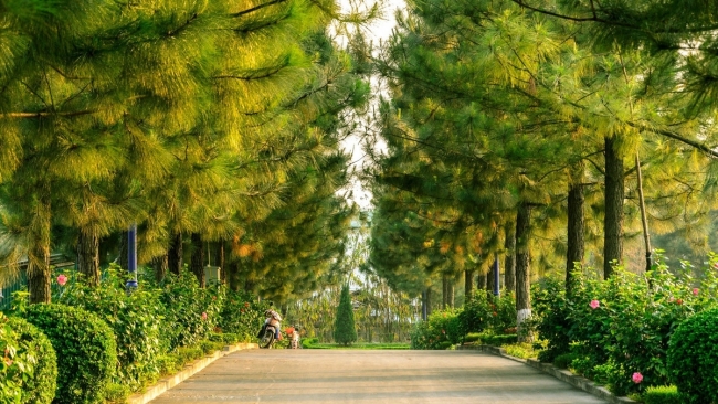 Du lịch Đan Phượng, ăn chơi gì giữa vùng đất cổ xứ Đoài?