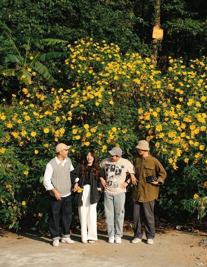 Cuối tuần lên Ba Vì, đắm chìm trong sắc vàng dã quỳ Cuối tuần lên Ba Vì, đắm chìm trong sắc vàng dã quỳ