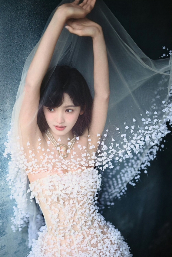 Cộng đồng mạng "ngán ngẩm" khi Diệp Lâm Anh và Đức Phạm lại đôi co