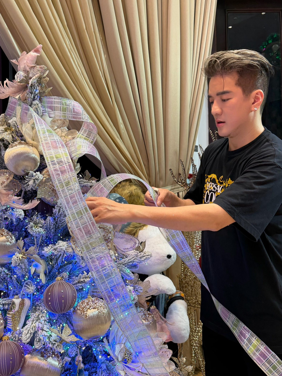 Đàm Vĩnh Hưng khoe nhà triệu đô lung linh như trời Âu trong mùa Noel cuối cùng