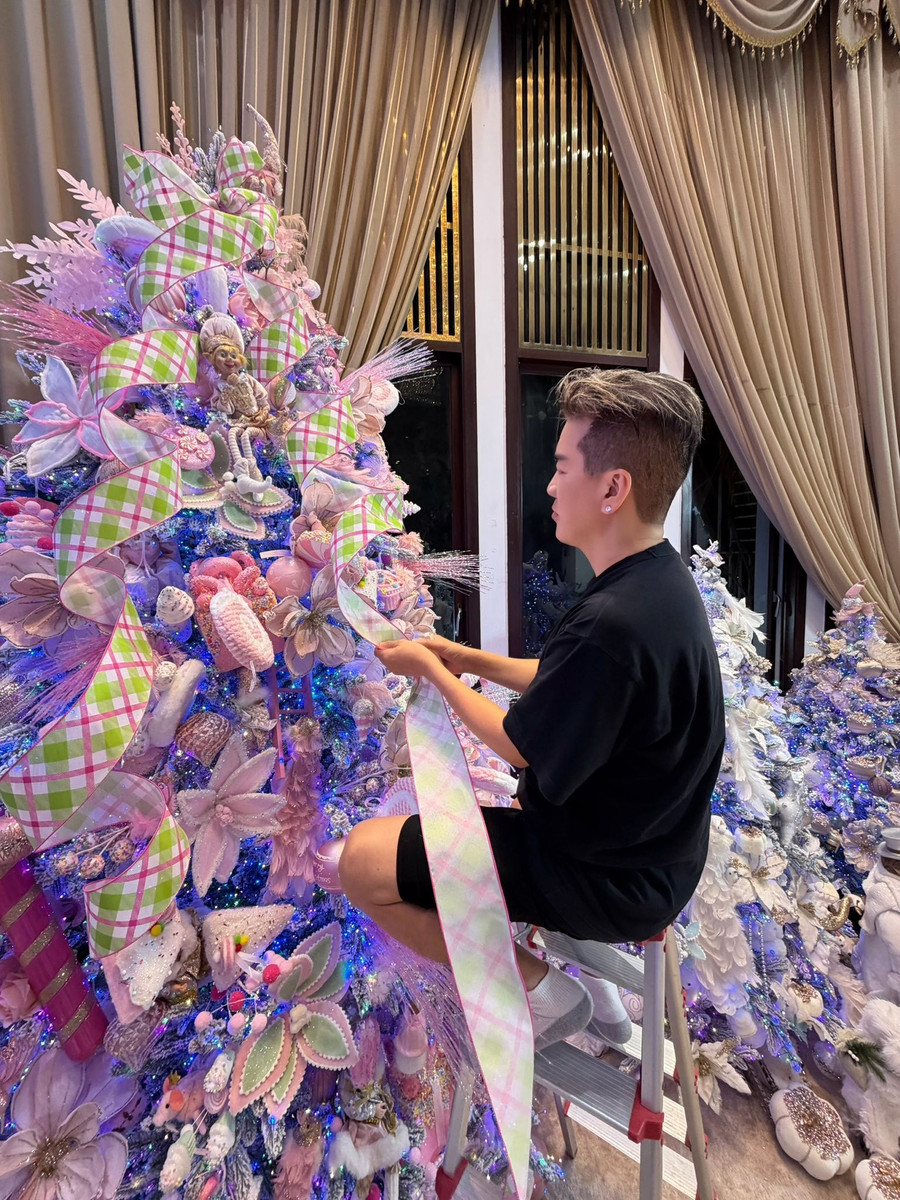 Đàm Vĩnh Hưng khoe nhà triệu đô lung linh như trời Âu trong mùa Noel cuối cùng