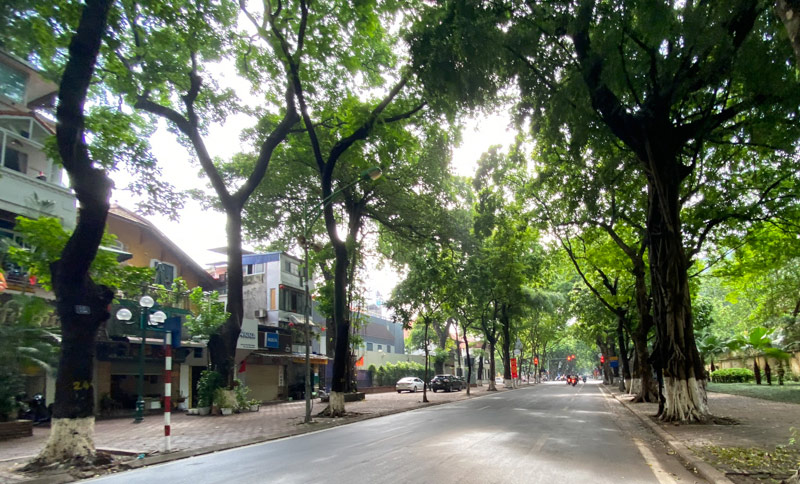 Dự báo thời tiết đêm nay và ngày mai 15/11: Hà Nội và các khu vực trên cả nước