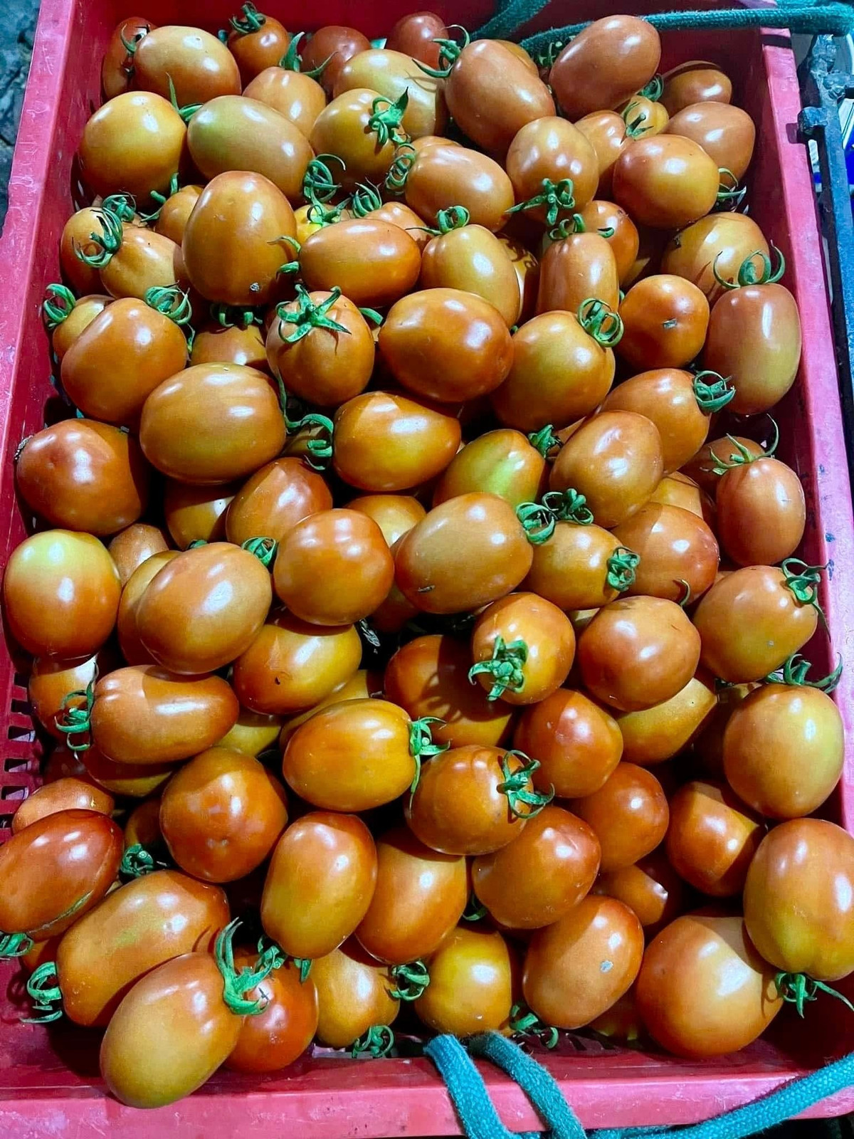 Giá rau xanh tăng mạnh, bà nội trợ "chóng mặt"