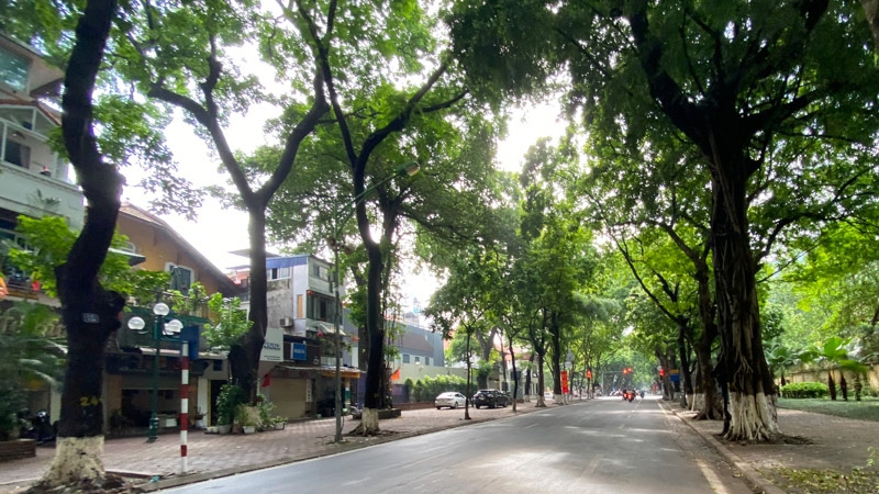 Dự báo thời tiết đêm nay và ngày mai 15/11: Hà Nội và các khu vực trên cả nước