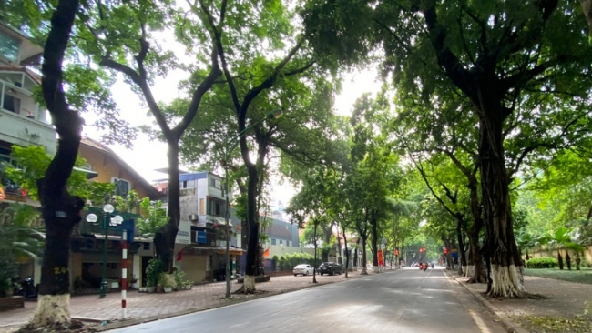 Dự báo thời tiết đêm nay và ngày mai 15/11: Hà Nội và các khu vực trên cả nước