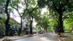 Dự báo thời tiết đêm nay và ngày mai 15/11: Hà Nội và các khu vực trên cả nước