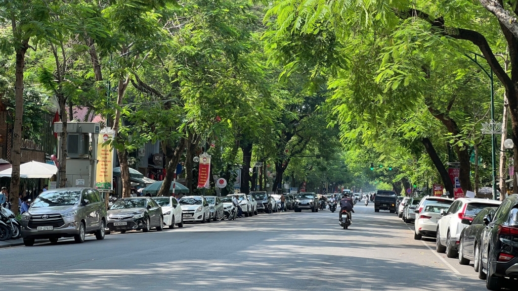 Dự báo thời tiết đêm nay và ngày mai 17/11: Hà Nội và các khu vực trên cả nước