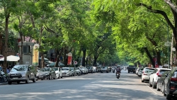 Dự báo thời tiết đêm nay và ngày mai 17/11: Hà Nội và các khu vực trên cả nước