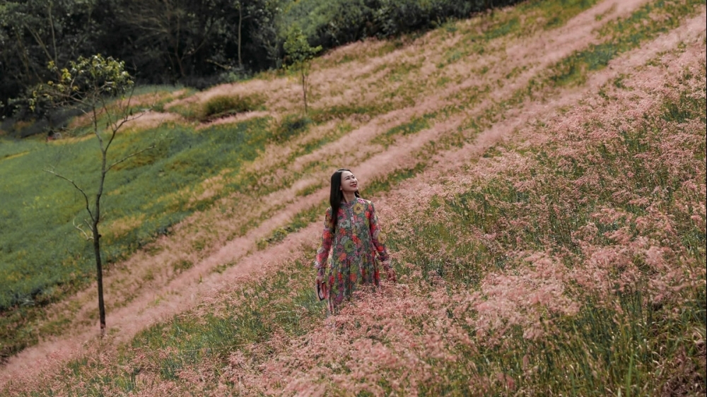 Check-in Đà Lạt mùa cỏ hồng trải nghiệm du lịch không thể bỏ lỡ cuối năm