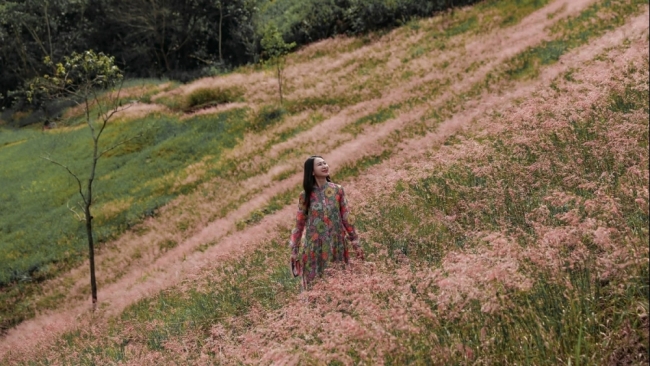 Check-in Đà Lạt mùa cỏ hồng trải nghiệm du lịch không thể bỏ lỡ cuối năm