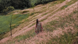 Check-in Đà Lạt mùa cỏ hồng trải nghiệm du lịch không thể bỏ lỡ cuối năm