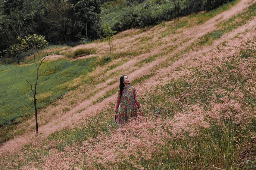 Check-in Đà Lạt mùa cỏ hồng trải nghiệm du lịch không thể bỏ lỡ cuối năm Check-in Đà Lạt mùa cỏ hồng trải nghiệm du lịch không thể bỏ lỡ cuối năm