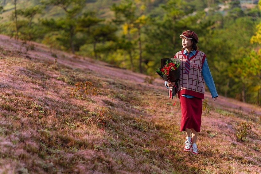 Check-in Đà Lạt mùa cỏ hồng trải nghiệm du lịch không thể bỏ lỡ cuối năm Check-in Đà Lạt mùa cỏ hồng trải nghiệm du lịch không thể bỏ lỡ cuối năm