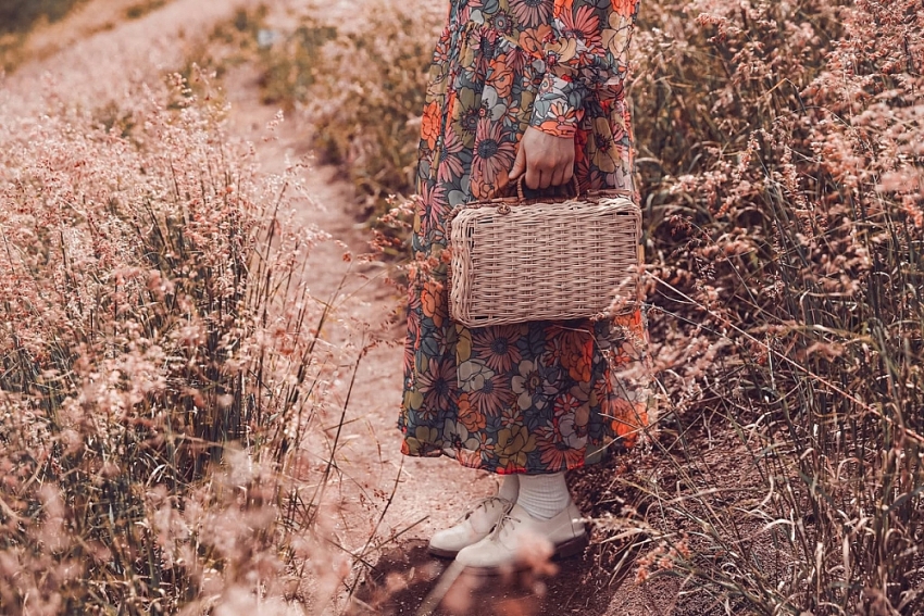 Check-in Đà Lạt mùa cỏ hồng trải nghiệm du lịch không thể bỏ lỡ cuối năm Check-in Đà Lạt mùa cỏ hồng trải nghiệm du lịch không thể bỏ lỡ cuối năm