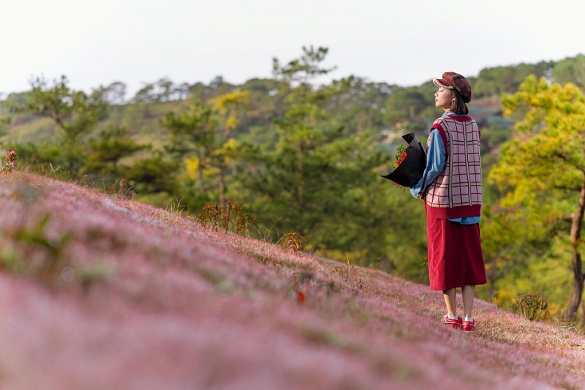 Check-in Đà Lạt mùa cỏ hồng trải nghiệm du lịch không thể bỏ lỡ cuối năm Check-in Đà Lạt mùa cỏ hồng trải nghiệm du lịch không thể bỏ lỡ cuối năm