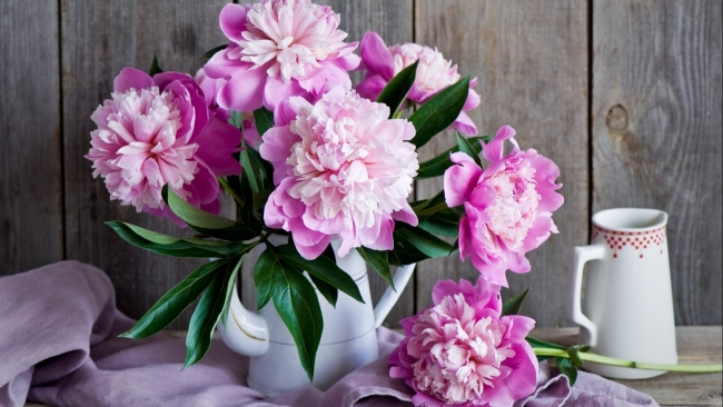 Tử vi tuần mới (17-23/11/2025): Tuổi Thìn thuận buồm xuôi gió, tuổi Dậu tài vận hanh thông