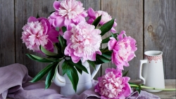 Tử vi tuần mới (17-23/11/2025): Tuổi Thìn thuận buồm xuôi gió, tuổi Dậu tài vận hanh thông