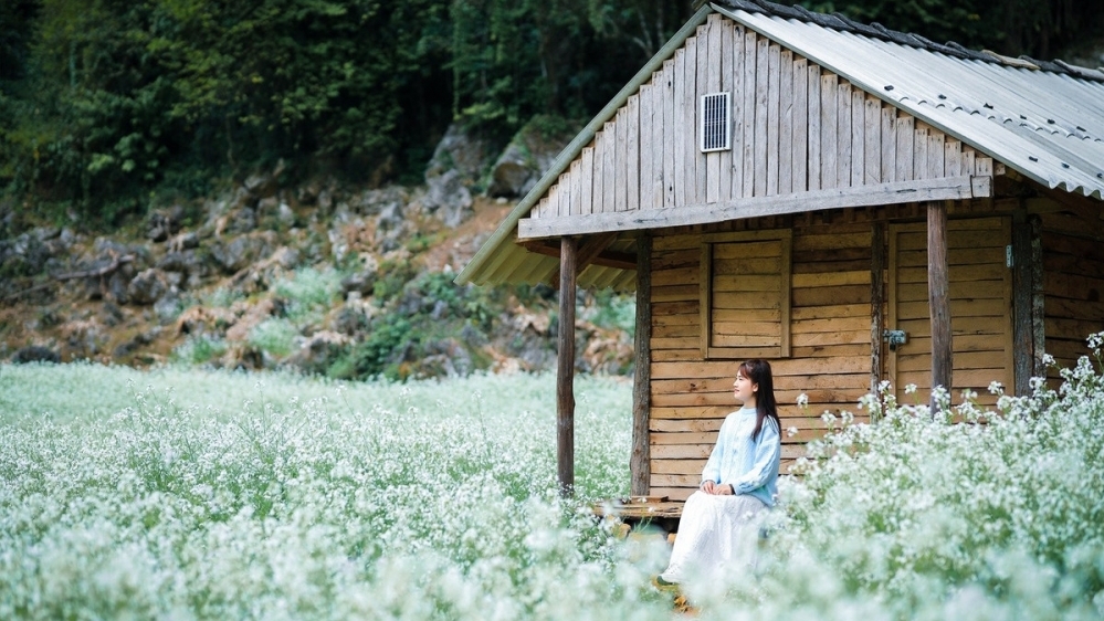 Miền Bắc mùa đông, 5 điểm đến khiến du khách mê mẩn