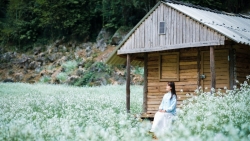 Miền Bắc mùa đông, 5 điểm đến khiến du khách mê mẩn