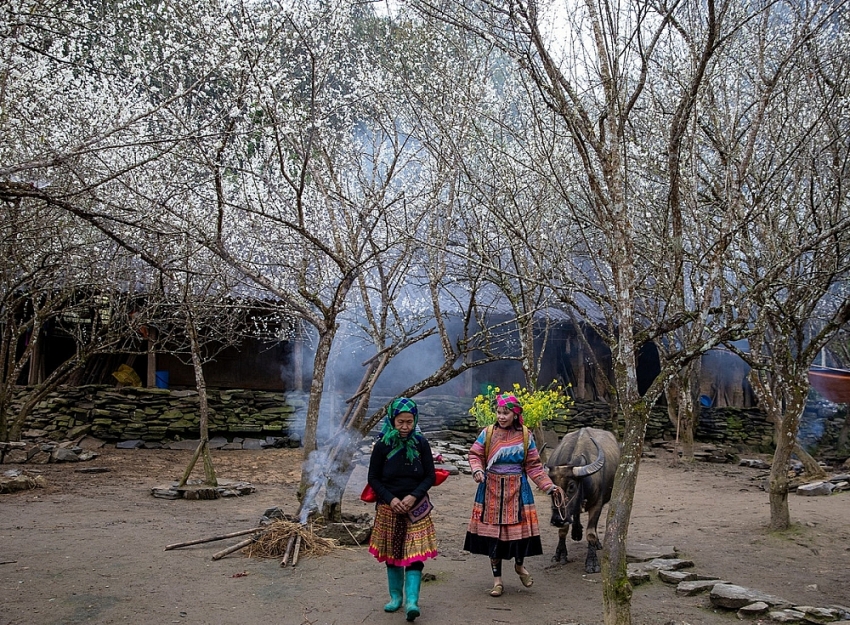 Miền Bắc mùa đông, 5 điểm đến khiến du khách mê mẩn