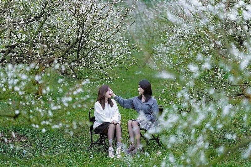 Miền Bắc mùa đông, 5 điểm đến khiến du khách mê mẩn