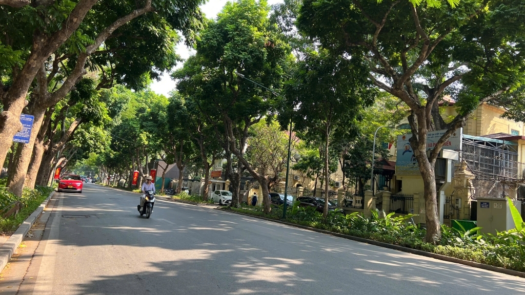 Dự báo thời tiết đêm nay và ngày mai 24/11: Hà Nội và các khu vực trên cả nước