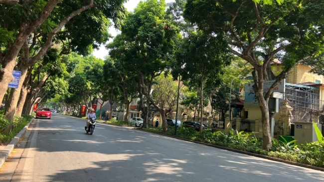 Dự báo thời tiết đêm nay và ngày mai 24/11: Hà Nội và các khu vực trên cả nước