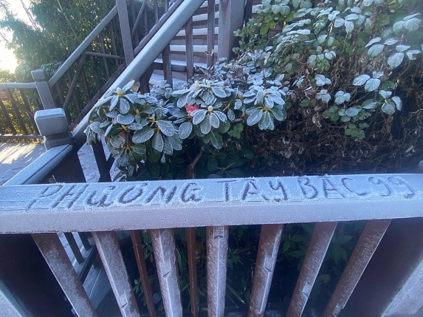 Băng giá phủ trắng Fansipan, du khách háo hức săn khoảnh khắc đầu mùa Băng giá phủ trắng Fansipan, du khách háo hức săn khoảnh khắc đầu mùa