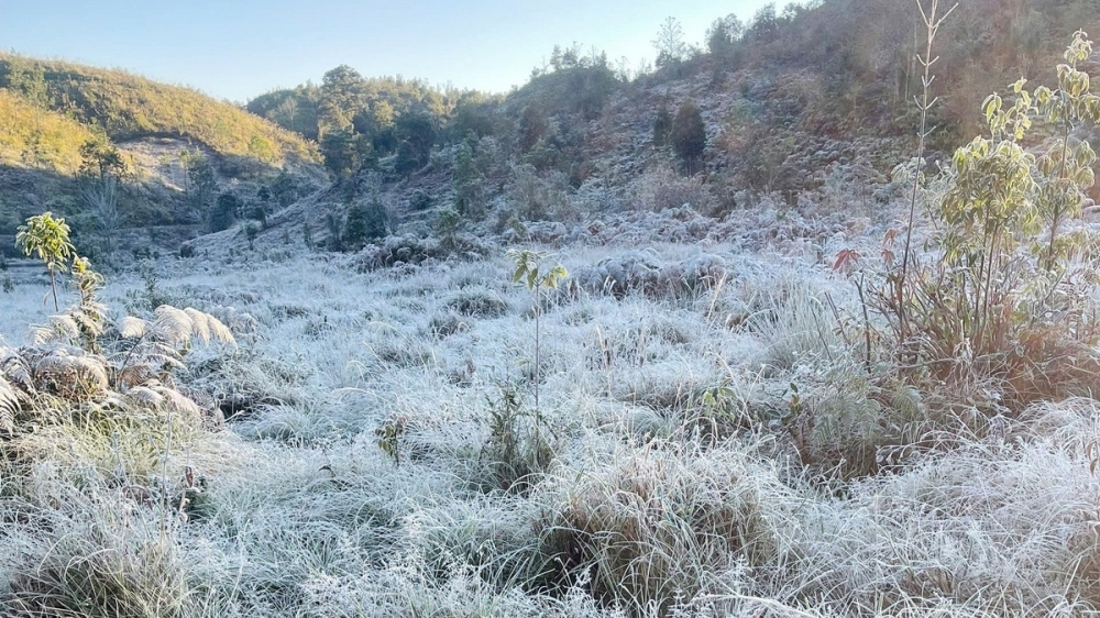 Y Tý xuất hiện băng giá, rừng núi hóa thành 'miền cổ tích' buổi sớm