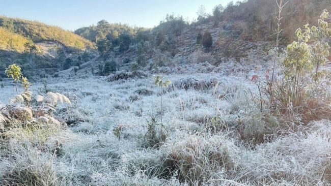 Y Tý xuất hiện băng giá, rừng núi hóa thành 'miền cổ tích' buổi sớm