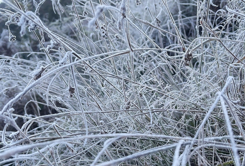 Y Tý xuất hiện băng giá, rừng núi hóa thành 'miền cổ tích' buổi sớm Y Tý xuất hiện băng giá, rừng núi hóa thành 'miền cổ tích' buổi sớm