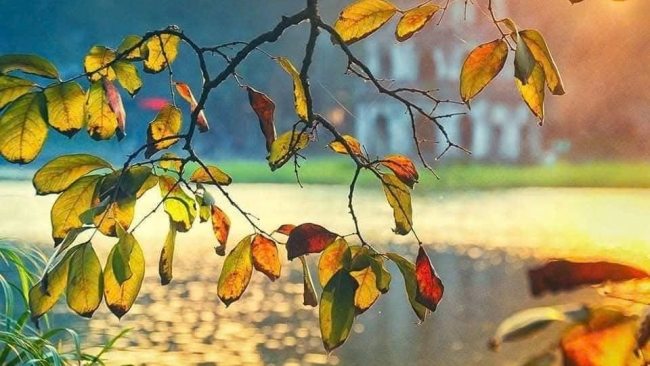 Nắng đầu đông