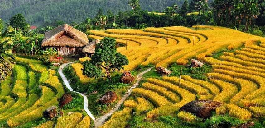 Bản Tả Phìn điểm dừng chân lý tưởng cho du khách yêu sự yên tĩnh