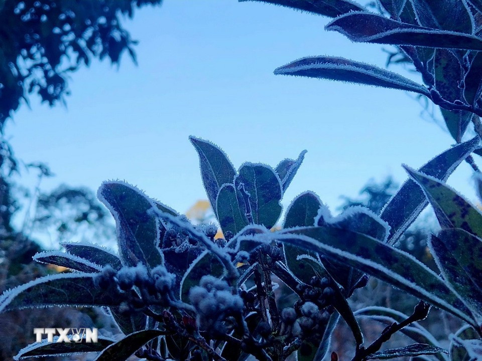 Băng giá xuất hiện lần hai ở Y Tý, cảnh sắc mờ ảo hút khách